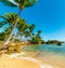 Sand and palm trees in bas du Fort shore