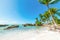 Sand and palm trees in bas du Fort shore in Guadeloupe