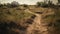 Sand path in arizona