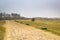 Sand path in dunes, Holland