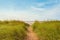 Sand path over dunes with beach grass