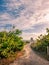 Sand pathway to the beach tower on a cloudy morning on Singer Island, Florida