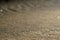 Sand pattern background blur