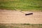 Sand rake equipment on the golf field