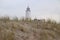 Sand reed at the dunes of Noordwijk in the Netherlands at the North Sea coast with the white lighthouse on the background.