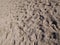 Sand on the riding field, texture closeup