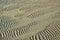 Sand ripples