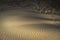 Sand ripples and driftwood on Culbin beach in Scotland.