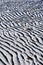 Sand ripples and seaweed scraps.  White Rock beach at low tide