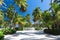 Sand road through the coconut palms and jungle