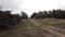 A sand road on the forested dune on Curonian Spit