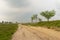 Sand road in a hazy heath landscape in Flanders