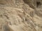 Sand rock desert relief of stones with loose soil texture