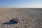 Sand salt and savannah till the endless horizon at the etosha sa