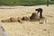 Sand sculpture on Barceloneta Beach. Spain