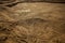 a sand sculpture of a fish in the middle of a desert area with a pattern on the ground and a sky background with clouds and a sun