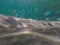 Sand and seabed underwater. Clear water in Lake Superior Michigan