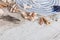 Sand and shells and hat on the wooden floor, summer concept