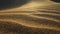 Sand storm in desert. Macro shot of sand particles blown away by the wind. Camera moves along surface of sand dune in