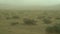 sand storm in the gobi desert in mongolia