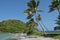 Sand Strips with palm trees and Water on pagan sides Caribbean beach