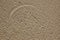 Sand texture for background. Close up. Top view . Port Stephens.