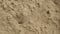 Sand texture. Background of fine river sand.