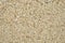 Sand texture background, Small shells Broken coral