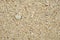 Sand texture background, Small shells Broken coral