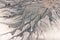 Sand Texture on Beach Close Up, Summer Day Scene. Vibrant View of Sand Structure