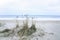 Sand texture on the beach. Cold seaside background. Baltic sea