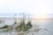 Sand texture on the beach. Cold seaside background. Baltic sea