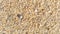 sand texture blackground brown color