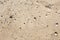 Sand texture closeup photo. Smooth beach sand background for travel banner template.