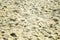 Sand, texture. Footprints in the sand. Sandy background