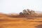 Sand texture in Morocco Sahara Merzouga Desert landscape oriented