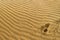 Sand texture with predator footprints on a desert dune with patterns in the form of waves created by the wind