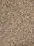 sand texture sand coarse, plaster