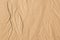 Sand texture. Sandy beach for background