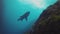 Sand Tiger Shark, Grey Nurse Shark Silhouette In Deep Blue Sea & Sunlit Sea Surface