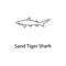 sand tiger shark icon. Element of marine life for mobile concept and web apps. Thin line sand tiger shark icon can be used for web