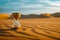 Sand timer is placed in large sandy area with rolling dunes. Generative AI