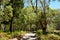 Sand trail on South Stradbroke Island in Queensland, Australia.