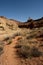 Sand Trail Through A Wash On Syncline Loop Trail