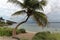 Sand, turquoise water and ruins of old seven mile bridge