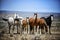 Sand Wash Basin wild horse band portrait