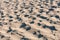 Sand wave beach desert dune abstract texture