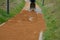 Sand wheeling. garden wheelbarrow carries a worker and pours on piles of beige gravel to repair park, forest, dirt road. erosion c