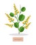 Sandalwood Poster with Herb Vector Illustration