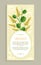 Sandalwood Poster with Herb Vector Illustration